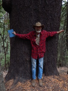Grandpa next to the giant pine.